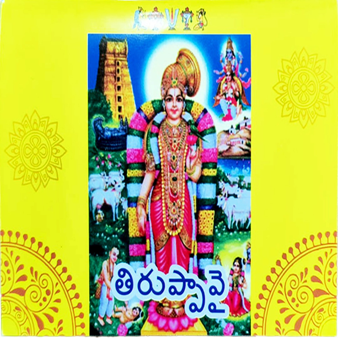 WhatsApp Image 2025-12-15 at 5.32.18 PM