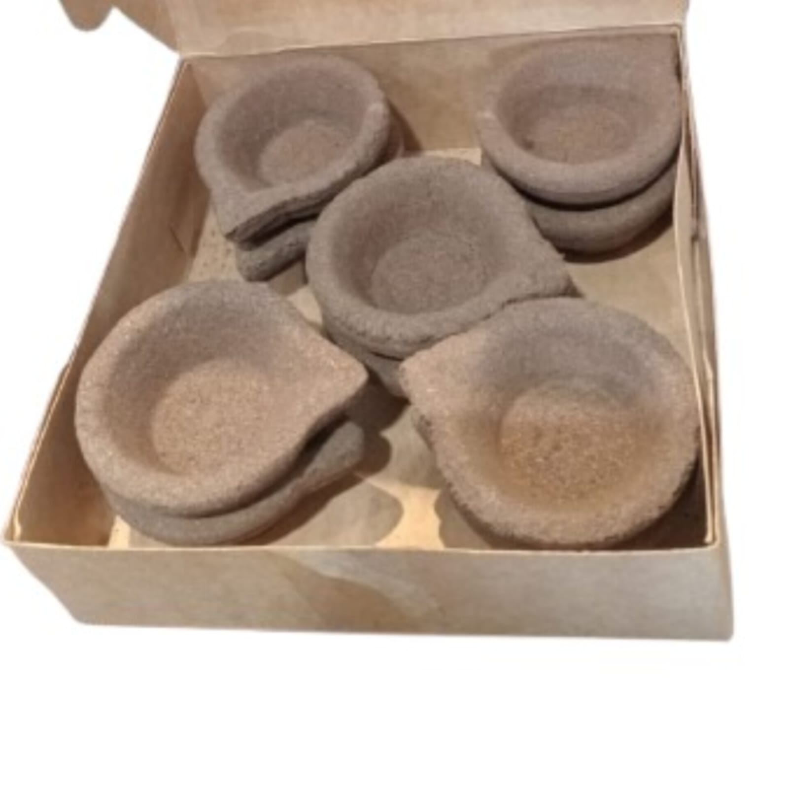 WhatsApp Image 2026-02-06 at 2.01.22 PM