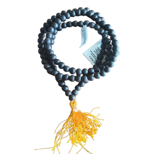 WhatsApp_Image_2026-02-14_at_11.48.42_AM-removebg-preview (1)