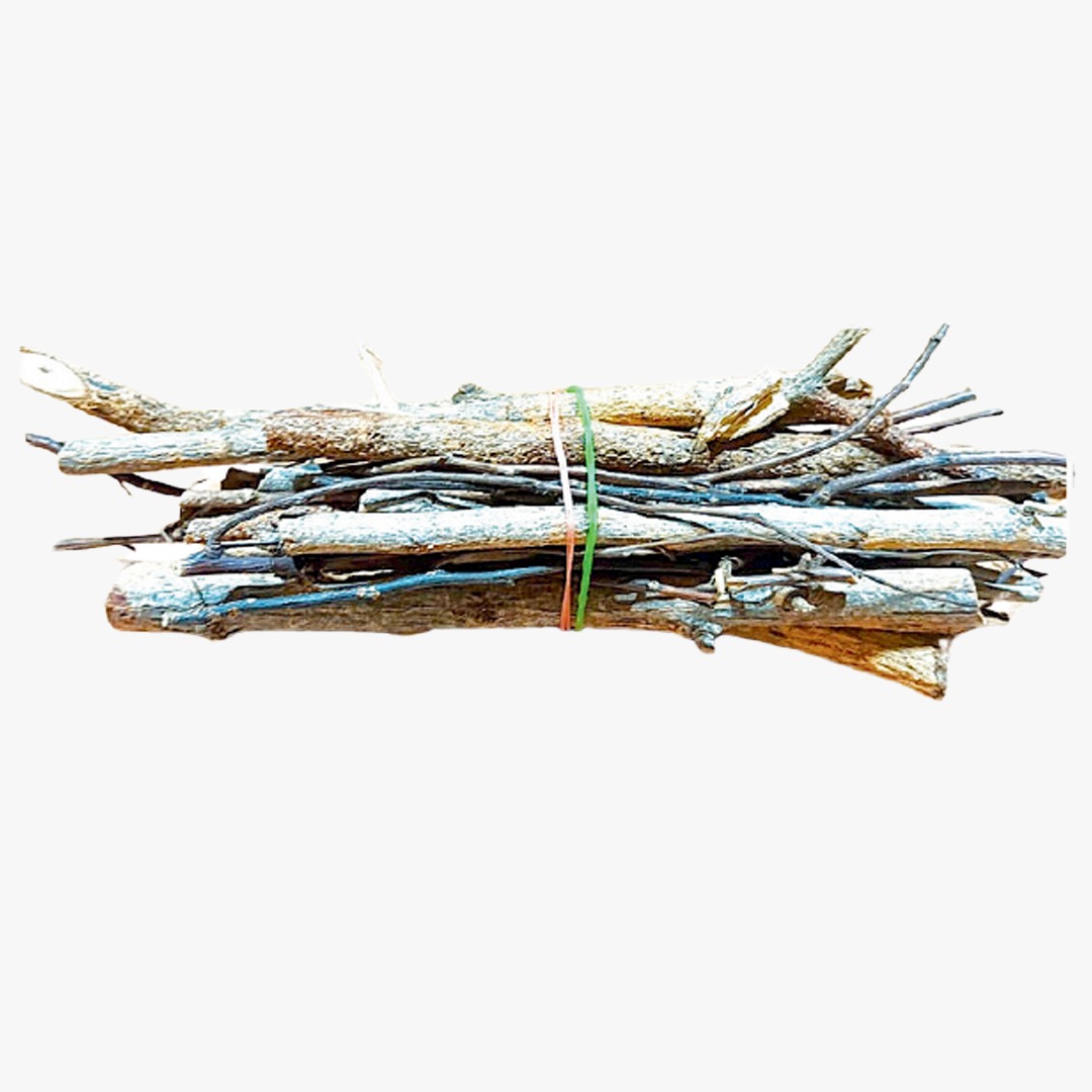 WhatsApp Image 2026-03-07 at 3.41.35 PM